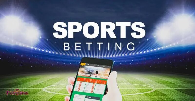 Pantyhose Sports - The Margin Behind the Price Pantyhose Sports - The Margin Behind the Price